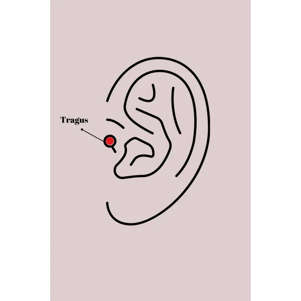 316L Çelik Gümüş Renk Kırmızı Mineli Kalp Tragus Piercing