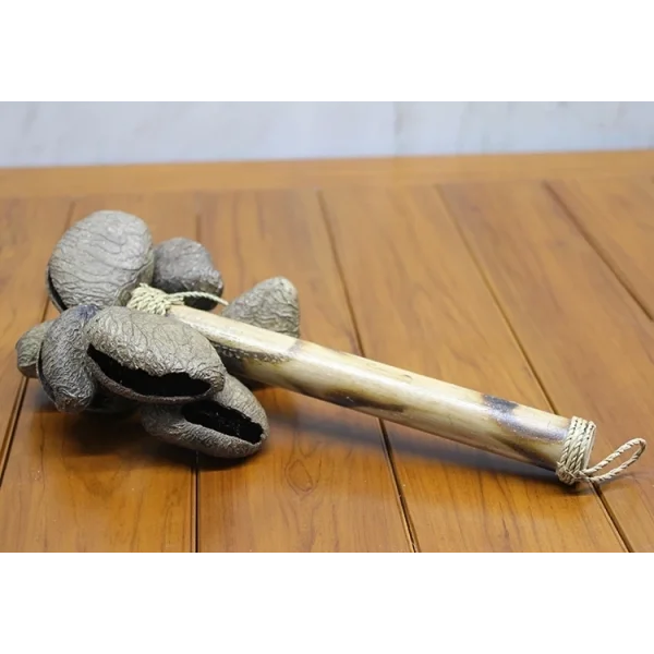 Coconat Sarkaçli Marakas Dıarta:2