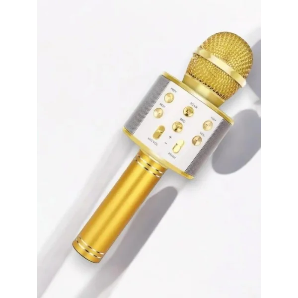 KAREOKE  MIKROFON
