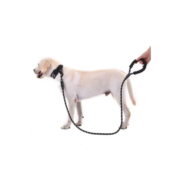 Köpekler İçin Gezdirme Tasması Reflektörlü 130 Cm Halat Orta Ve Büyük Boy Köpekler İçin Siyah