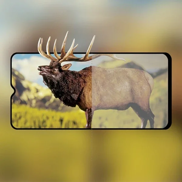 OPPO A9/A5 (2020) 3D Full Glue Tempered Cam Ekran Koruyucu-(5775)