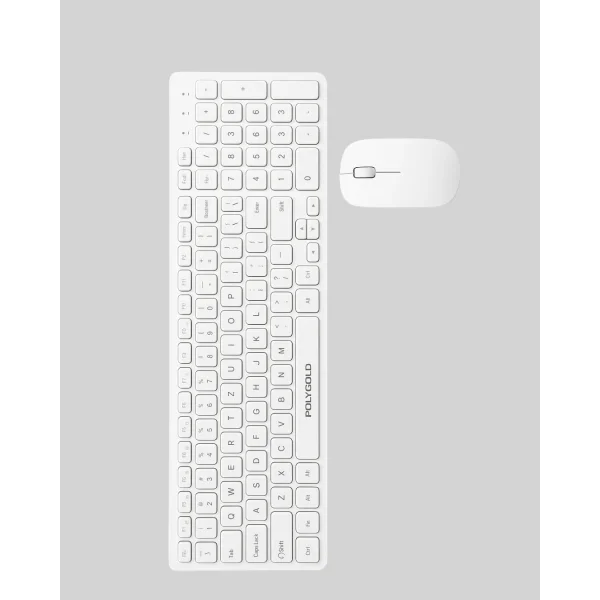 PG-8040 KLAVYE VE MOUSE SETİ