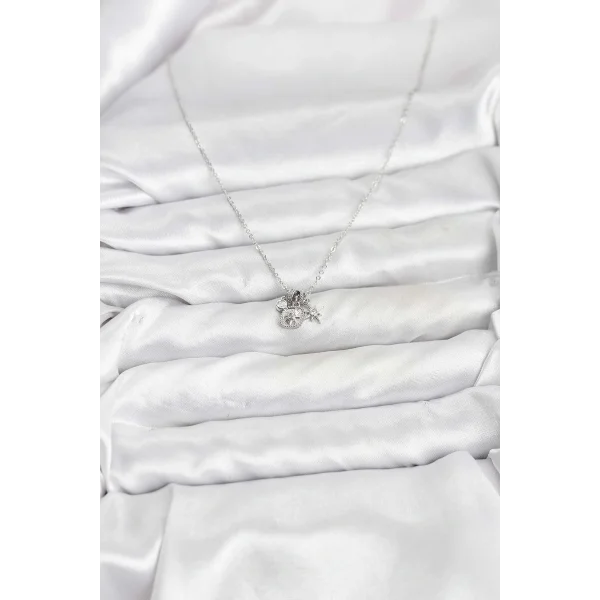 Pirinç Gümüş Renk Minimal Charmlı Kadın Kolye