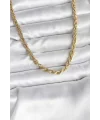 14K Gold Renk Kaplama Burgu Model CM Kadın Kolye
