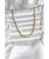 14K Gold Renk Kaplama Burgu Model CM Kadın Kolye