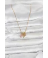 316L Çelik Gold Pembe Zirkon Taşlı Charmlı Kadın Kolye