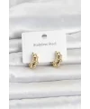 316L Çelik Gold Renk Halka Model Kadın Küpe