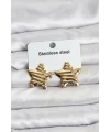 316L Çelik Gold Renk Yıldız Model Kadın Küpe