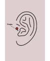 316L Çelik Gümüş Renk Zirkon Taşlı Kurdele Tragus Piercing
