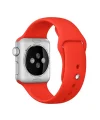 Ally Apple Watch 7-8 41mm 6-5-4- 40mm Silikon Kordon Kayış 3-2-1 38mm-(5775)