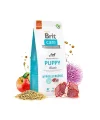 Brit Care Hypo-Allergenic Kuzu Etli Yavru Köpek Maması 3 Kg
