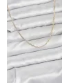 CM 14K Gold Renk Ataç Zincir Model 60 cm Kadın Kolye