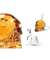 Crystal Head Kuru Kafa Cam Şişe 350 Ml