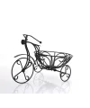 Ferforje Dekoratif Bisiklet Çiçeklik St00077