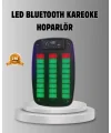 GTS 1793 Işıklı 6.5 İnç Kablosuz Hoparlör Bluetooth USB ve FM Özellikli