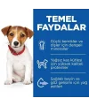 Hills Puppy Small & Mini Kuzu Etli Küçük Irk Yavru Köpek Maması 6 Kg