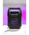 Kablosuz 6.5 İnç TWS Bluetooth Hoparlör