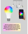 Kumanda Destekli Çok Renkli Akıllı LED Ampul