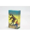 New Vısıon (yeni Vizyon) Tarot Kartı Alk4322