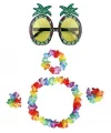 Renkli Ananas Gözlük, Taç, Kolye Ve Bileklik Seti