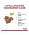 Royal Canin Kitten Sterilised Yavru Kısırlaştırılmış Kedi Maması 2 Kg