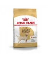 Royal Canin Labrador Retriever Yetişkin Köpek Maması 12 Kg