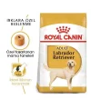 Royal Canin Labrador Retriever Yetişkin Köpek Maması 12 Kg