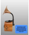 Şarjlı Mini Retro Radyo Bluetooth Hoparlör Çoklu Bağlantı Seçenekli