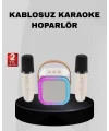 Taşınabilir Karaoke Hoparlör Bluetooth 5.0 ve Çift Mikrofonlu