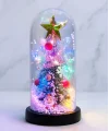 Yılbaşı Temalı Işıklı  Dekoratif Cam Fanus Alk5082