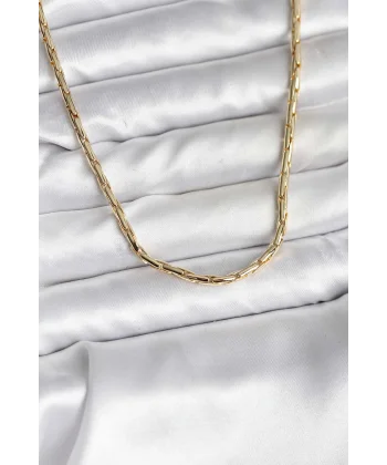 14K Gold Renk Kaplama Model CM Kadın Kolye