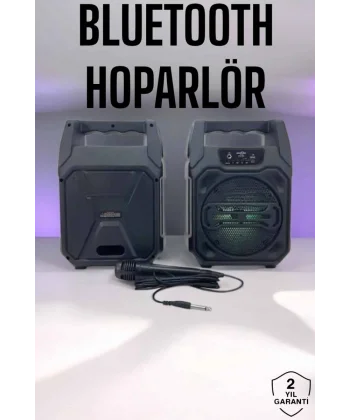 6.5 İnç Kablosuz Hoparlör Bluetooth Bağlantılı Yüksek Ses Kaliteli