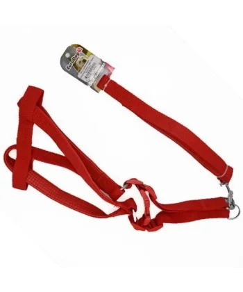 a Tasması ve Göğüs Tasması Takımı Kırmızı 20 Mm 120 Cm