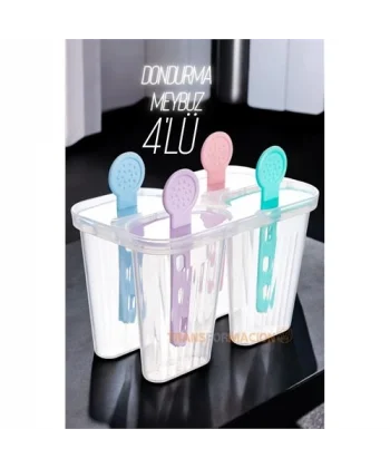 HSNET 4 lü Dondurma Kalıbı Meybuz Kalıbı