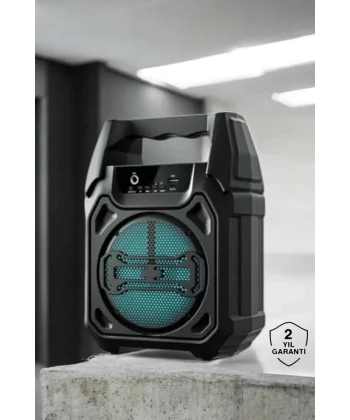 Kablosuz 6.5 İnç TWS Bluetooth Hoparlör