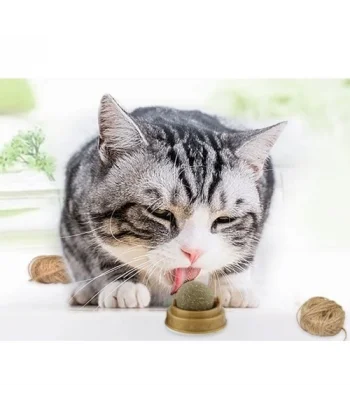 Kedi Nanesi Oyun Topu