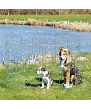 Trixie Yavru ve Küçük Köpek Açık Hava Oyun Alanı