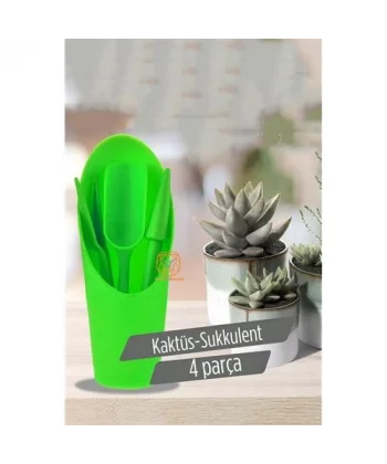Turk Kaktüs Sukkulent Dikim Seti
