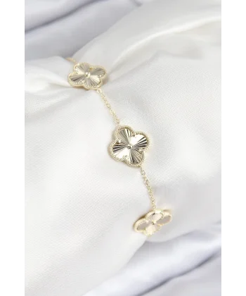 F900x60 Gökbilimsel Uzay Teleskopu