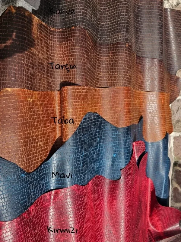 Crocodile Vejatal Crazy