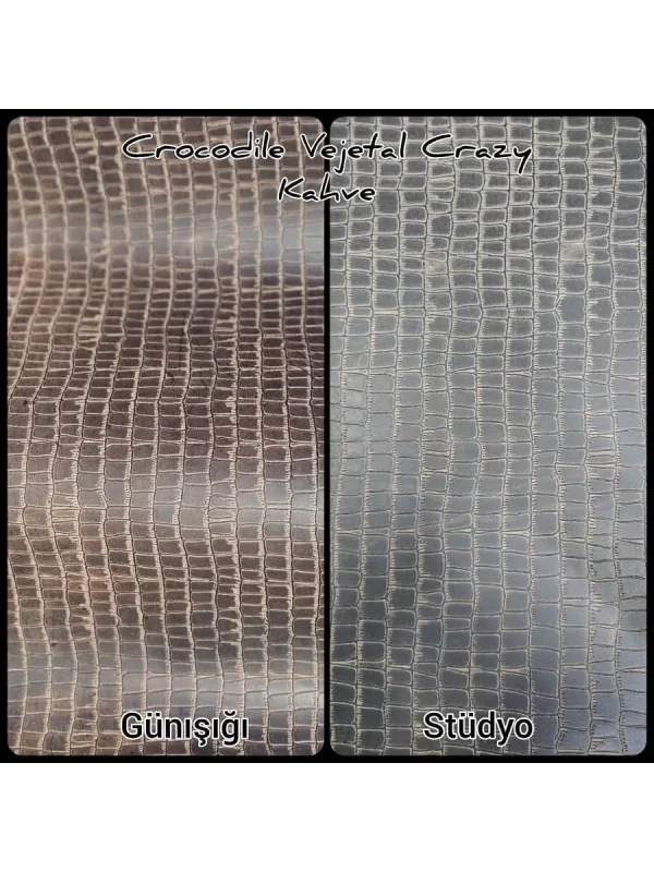 Crocodile Vejatal Crazy