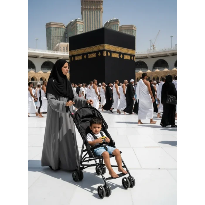 MOJE SİMPLE BASTON BEBEK ARABASI/GRİ