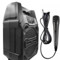 10W Güçlü Ses Performanslı Bluetooth Karaoke Hoparlörü
