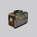 Ahşap Dokulu Bluetooth Müzik Kutusu – Vintage LED Tasarımıyla Modern Ses Deneyimi