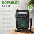 Bluetooth Hoparlör Mikrofonlu Taşınabilir Ses Sistemi FM Radyo, USB, SD Kart ve TWS Özellikli