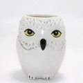 Harry Potter Hedwig Tasarım Porselen Kupa Bardak Alk4494
