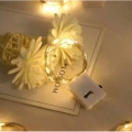 HERŞEYTREND 2m Pilli Peri Led Beyaz Işık