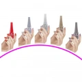 HERŞEYTREND 5 Adet Keratinli Besleyici Oje 14 ml SET15