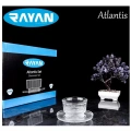 Rayan Atlantis 6lı Çerez Seti