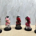 Işıklı Müzikli Cam Fanus İçinde Romantik Gül  Alk5004
